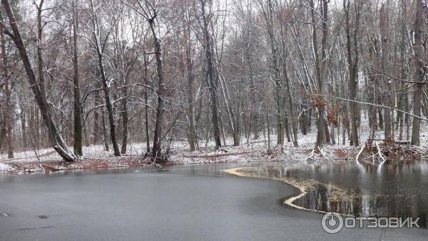 Усадьба Быково (Россия, Московская область) фото