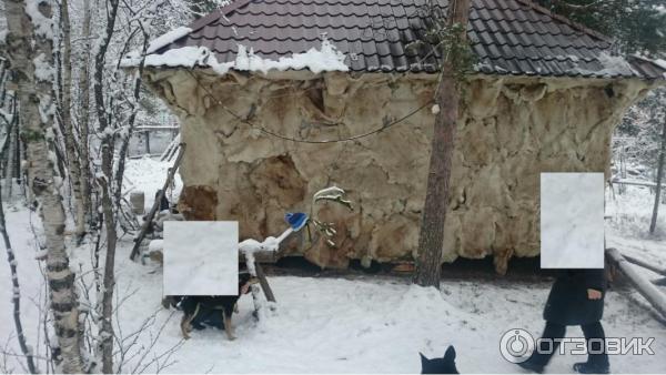 Этно-путешествие В гостях у саамов (Россия, Лопарская) фото