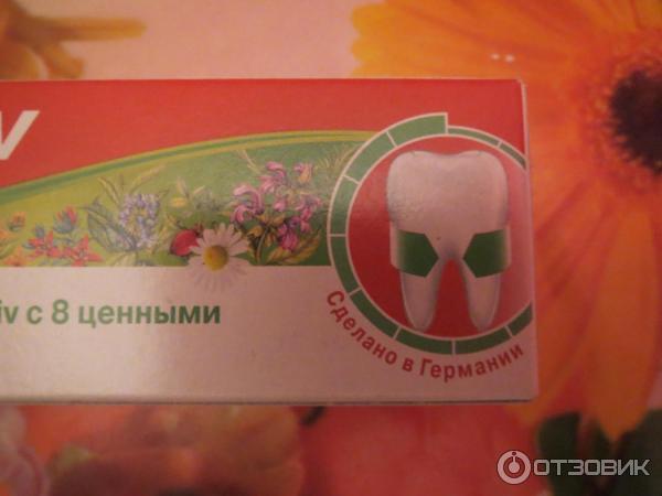 Зубная паста Lacalut Aktiv Herbal фото