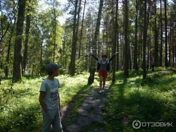 Камышлинский водопад (Россия, Республика Алтай) фото