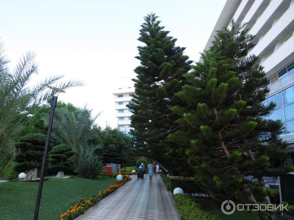 Отель Concorde Resort & SPA 5* (Турция, Анталия) фото