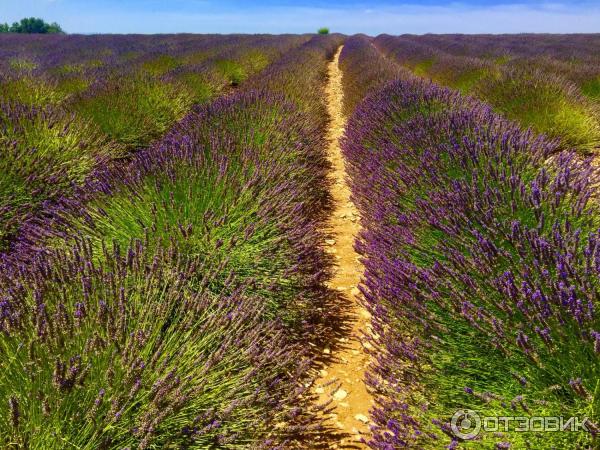 Экскурсия в Вердонское ущелье (Франция) фото