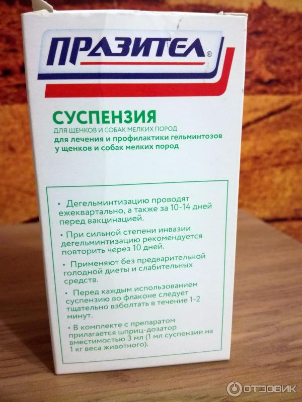 Отзыв о Ветеринарный препарат "Празител" для щенков и собак мелких ...