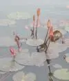 ДарьяDar