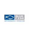 Blue Fish