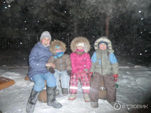 База отдыха Альпийская деревня (Россия, Омская область) фото