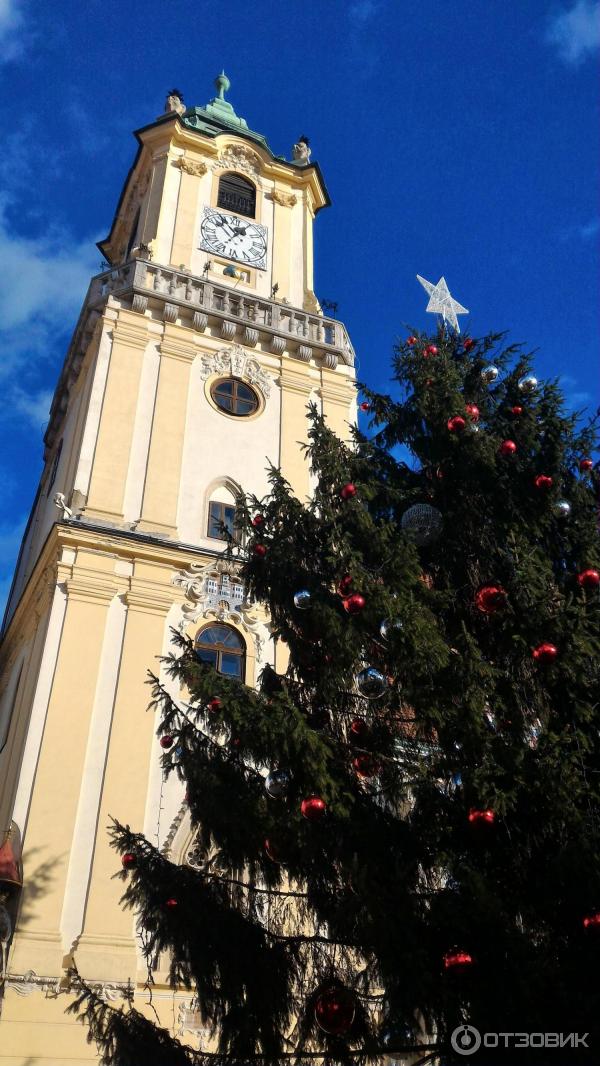 Город Братислава (Словакия) фото