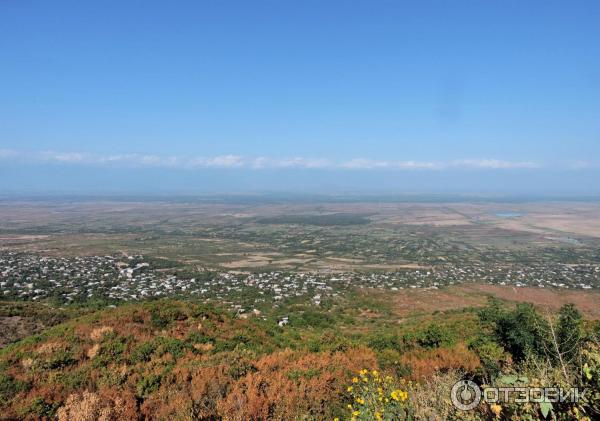 Экскурсия в город Сигнаги (Грузия, Кахетия) фото