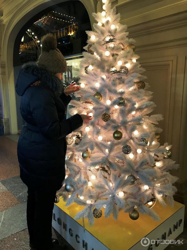 Выставка Новогодние фирменные елки в ГУМе (Россия, Москва) фото