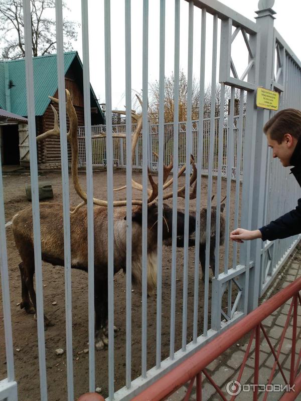 Зоопарк гродно время