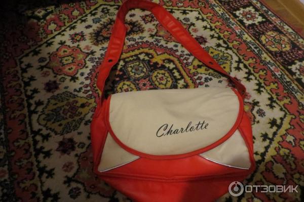 Детская коляска Expander Charlotte K2 2 в 1 фото