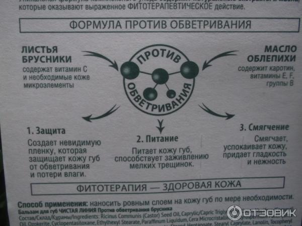 Бальзам для губ Чистая линия Против обветривания с брусникой и маслом облепихи фото