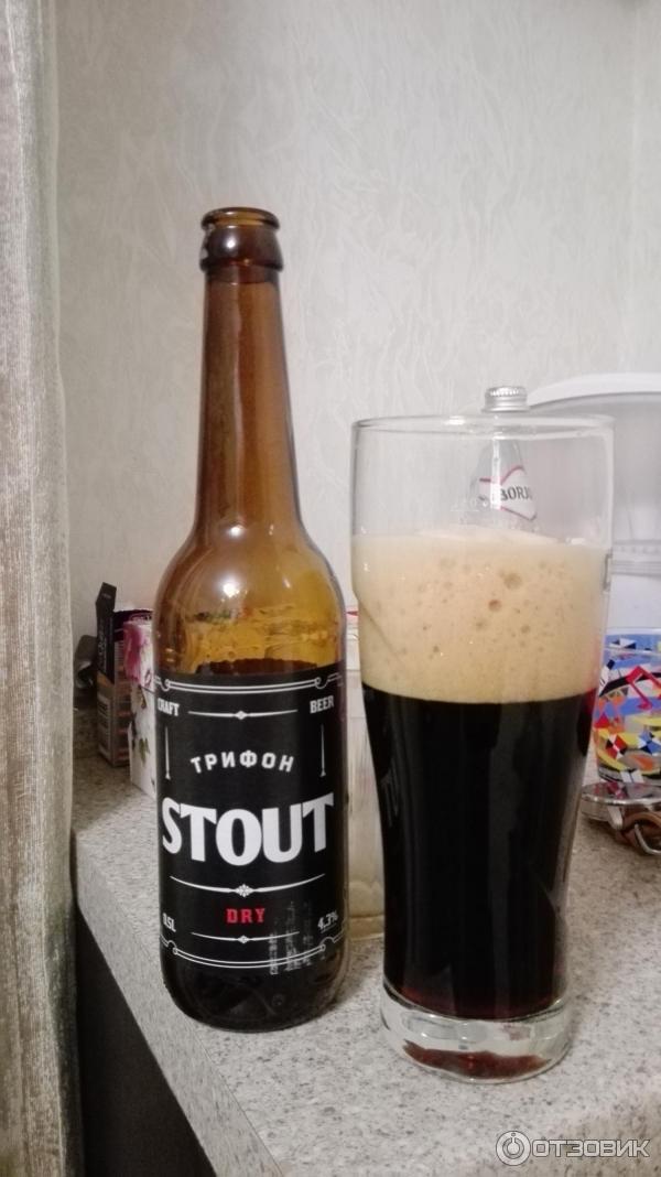 Oyster Stout Пиво Купить