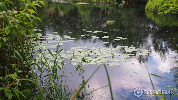 Музей - казацкое селище Мамаева Слобода (Украина, Киев) фото