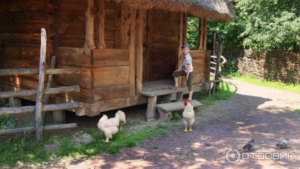 Музей - казацкое селище Мамаева Слобода (Украина, Киев) фото