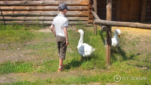 Музей - казацкое селище Мамаева Слобода (Украина, Киев) фото