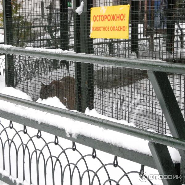 Вотчина деда мороза