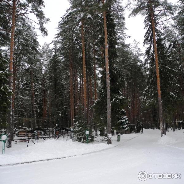 Вотчина деда мороза