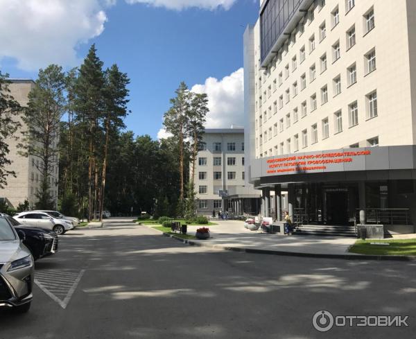 Пансионат мешалкина. Институт исследований патологии кровообращения новосибирск. 4 корпус мешалкина. Больница мешалкина в новосибирске. Санаторий мешалкина новосибирск.