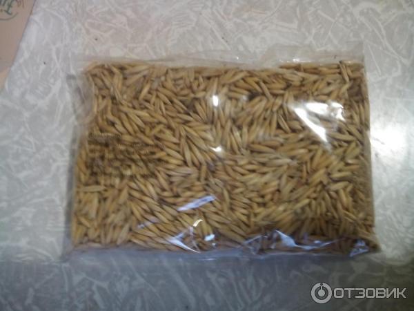 Где Можно Купить Овес Для Заваривания