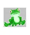 mr Frog